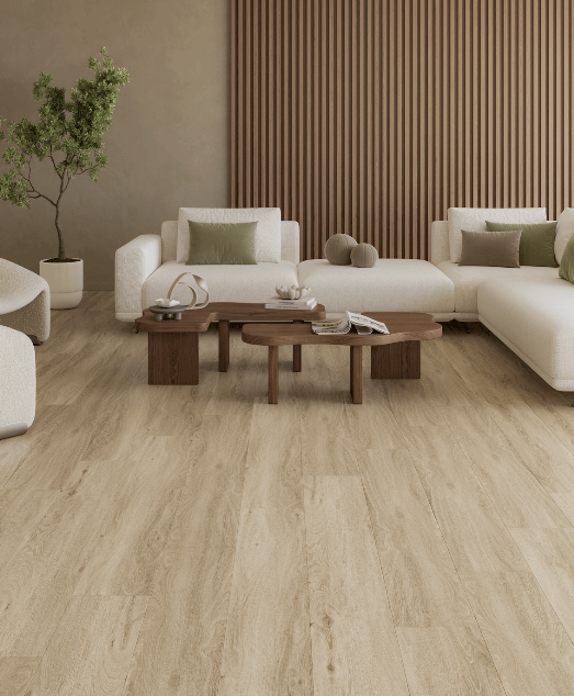 Rivia Collection