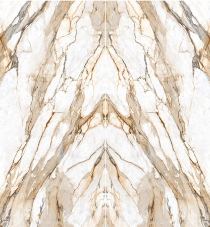 Calacatta Antique