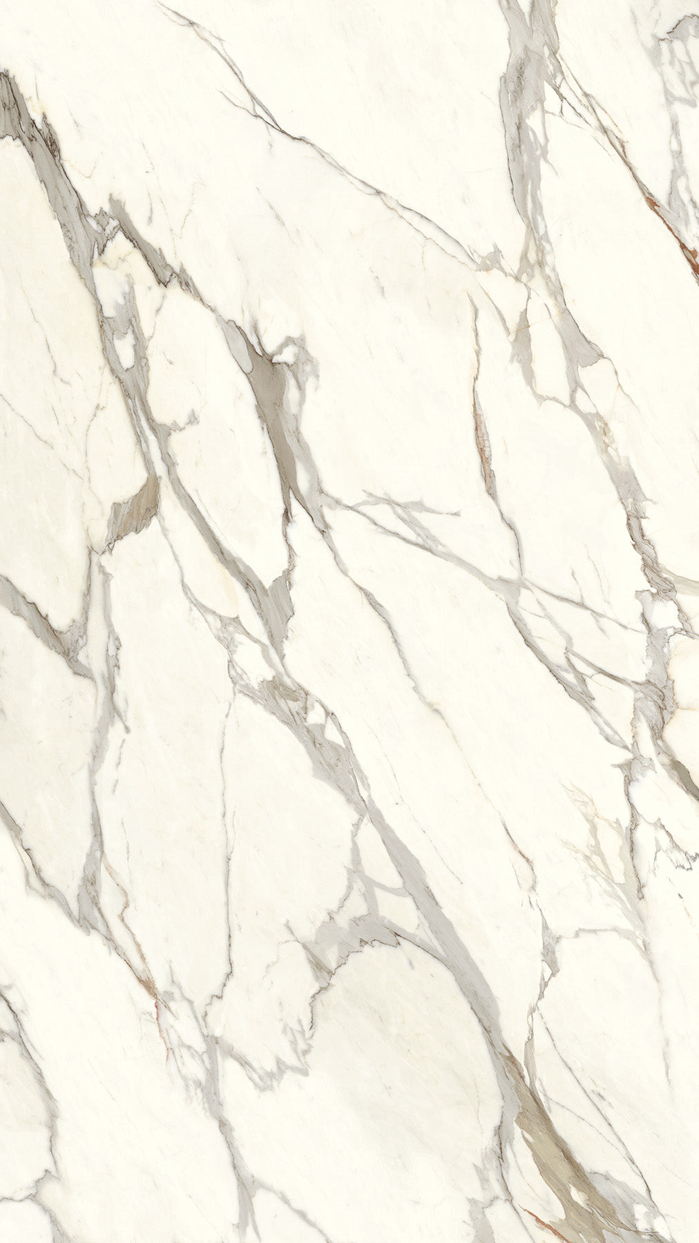 Calacatta Gold