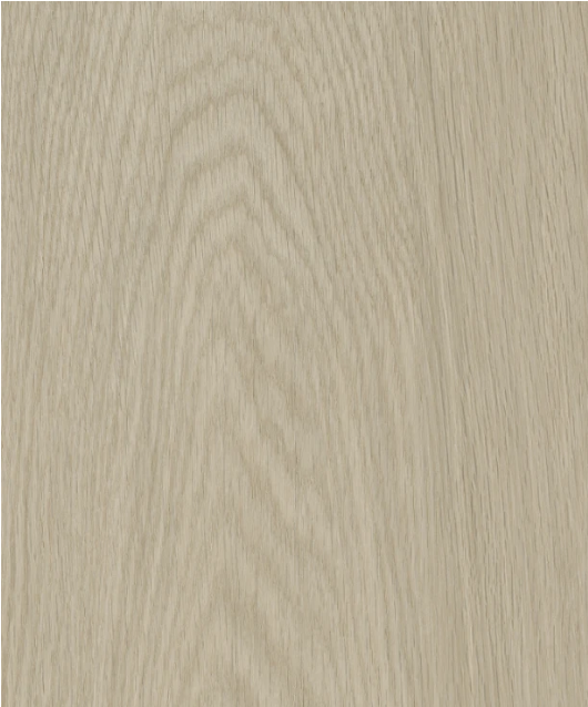 Rivia Collection